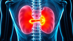 Slip for smerter fra diskus prolaps med simple ændringer i hverdagen