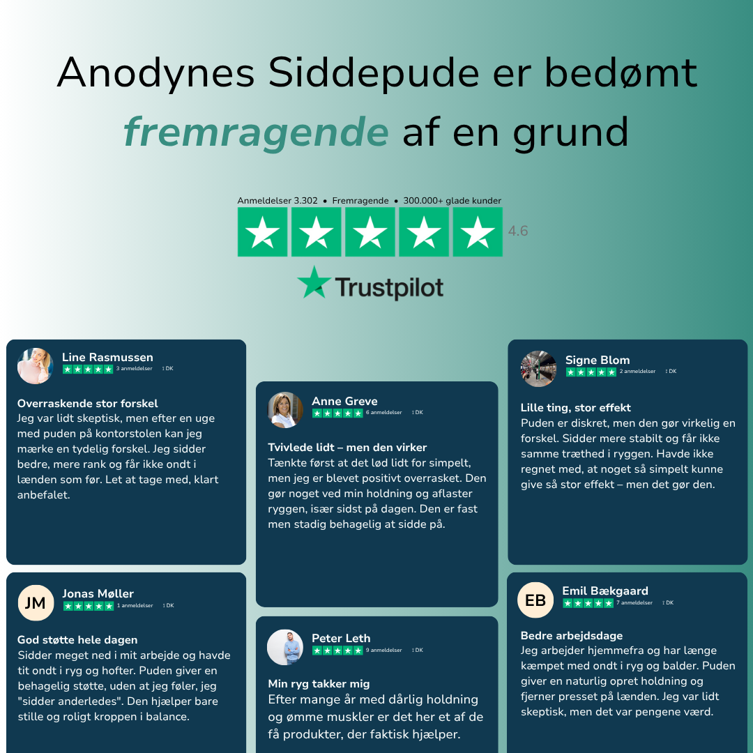 Ergonomisk Siddepude